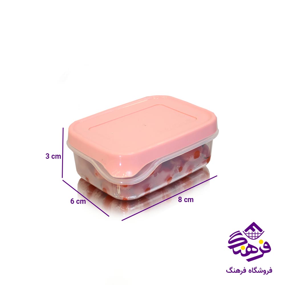 ظرف فریزری مستطیل قفلی اشکان