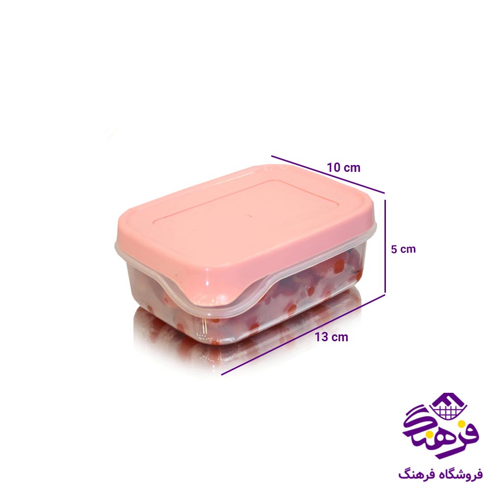 فریزری اشکان گلرو مستطیل مینی (2پک)