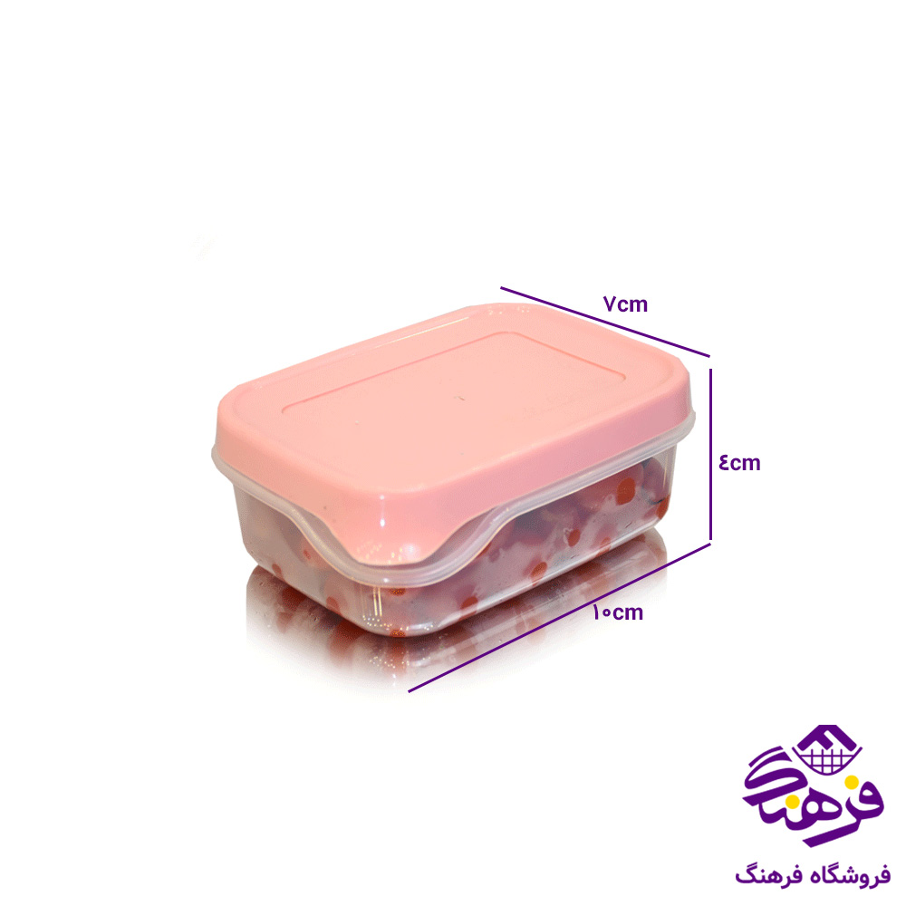 فریزری اشکان گلرو مستطیل مینی (2پک)