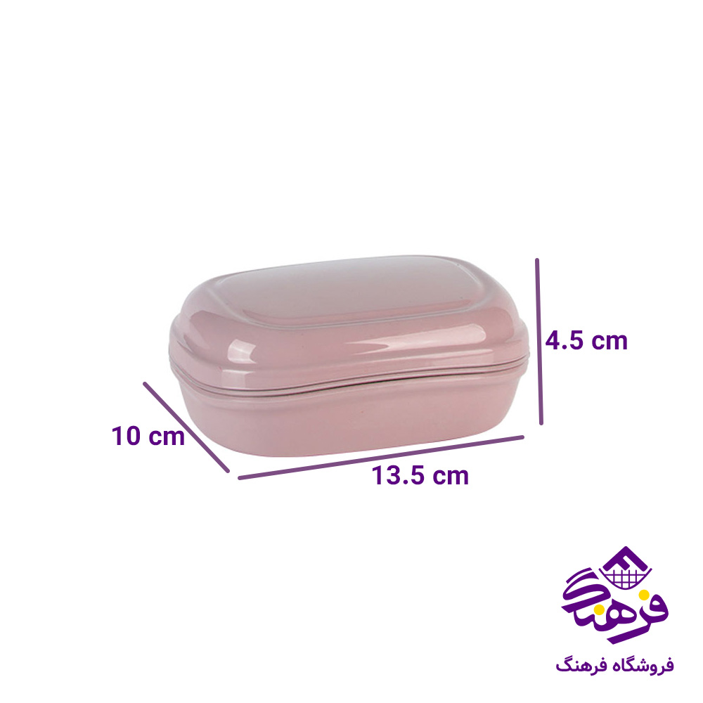 جاصابون زیبا ساویس