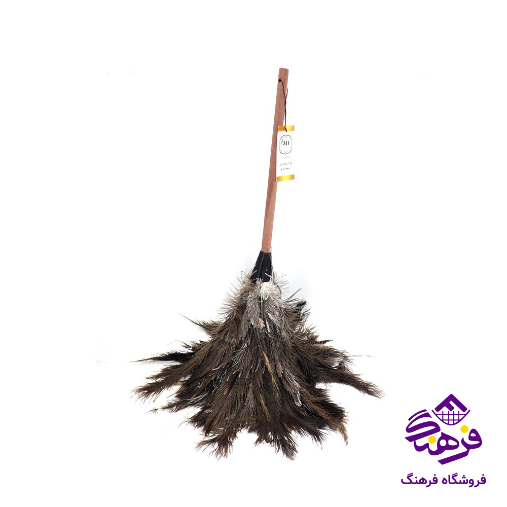 گردگیر شترمرغ متوسط
