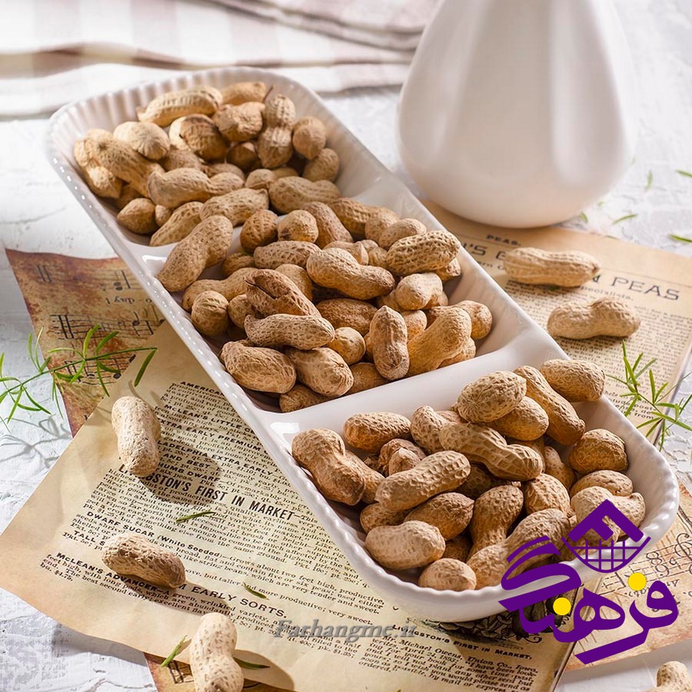 اردو کائولين دنيز (15)