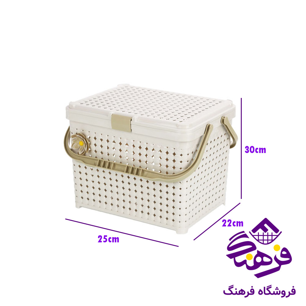 پک مسافرتی اقتصادی