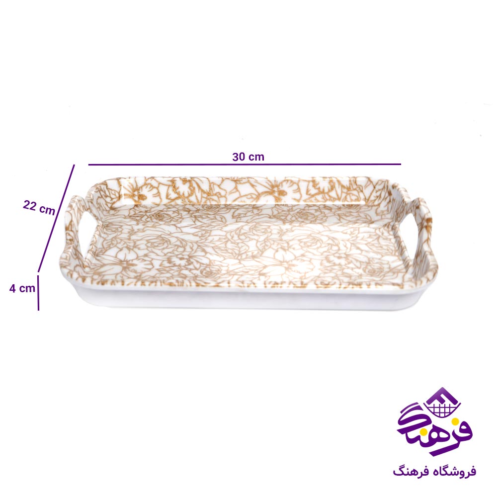 سيني دسته دار 2 مستطيل الوان کسري 003