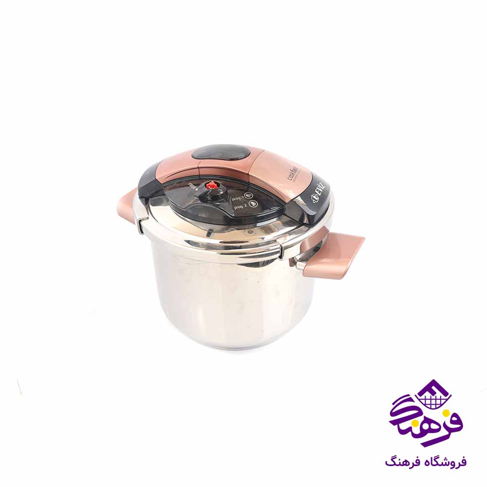 سرويس زودپز دوقلو پويان