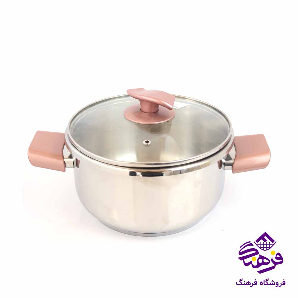 سرويس زودپز دوقلو پويان