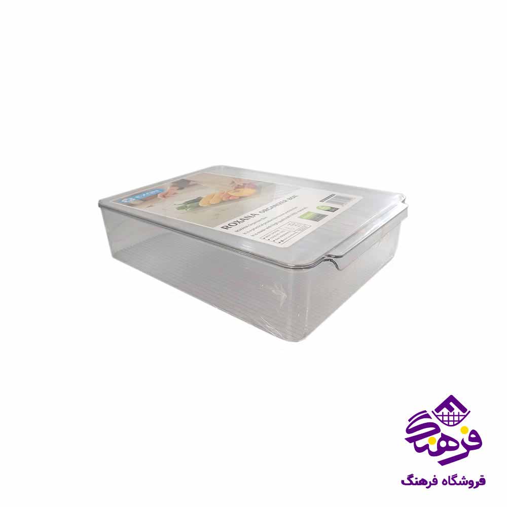  نظم دهنده اکسون مدل رکسانا کد 1270
