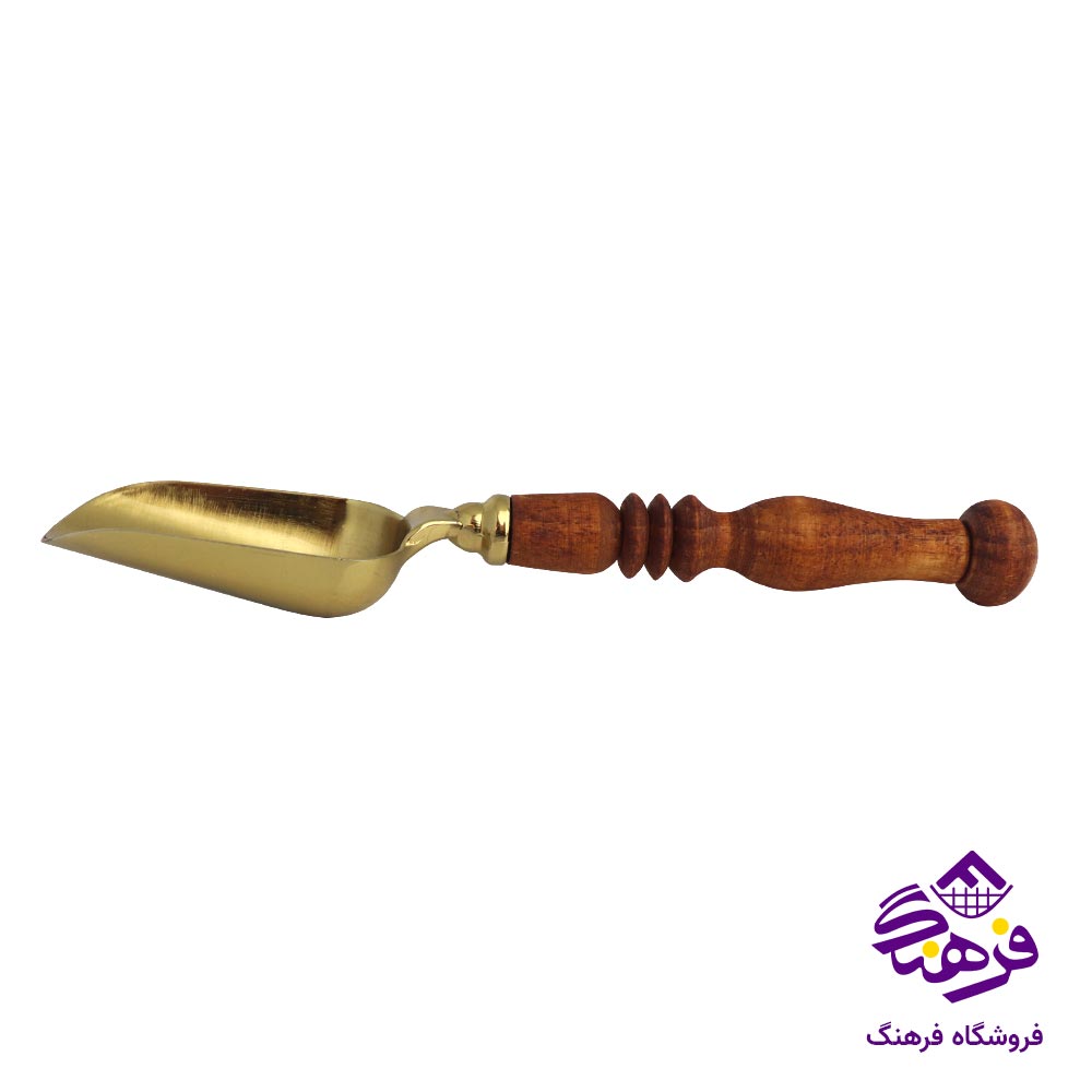 قاشق اجیل دسته چوبی کوچک