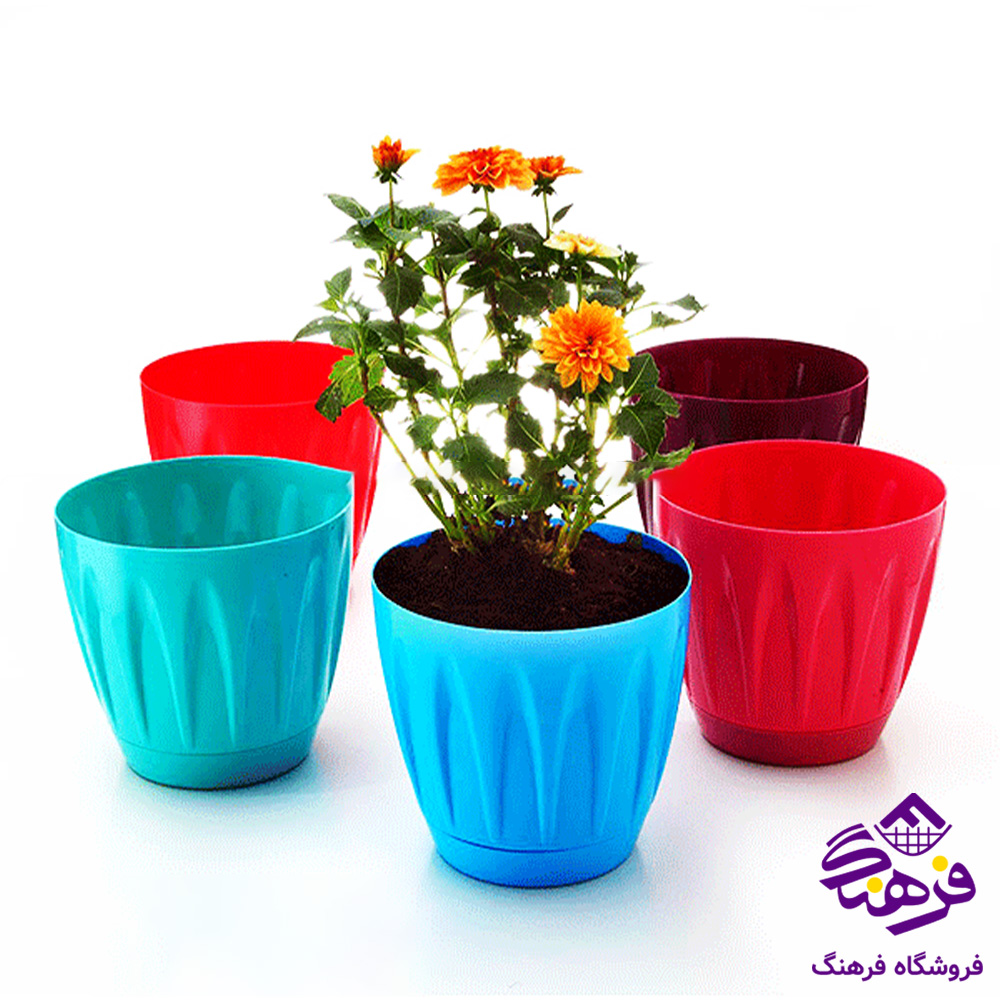گلدان ایده ال هلندی3
