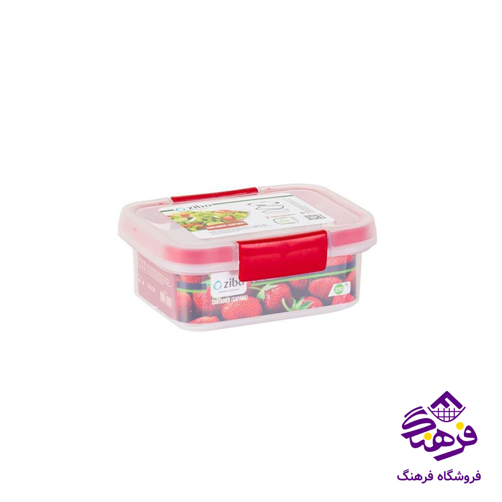 ظرف نگهدارنده گاپانا 250 میلی لیتر زیبا