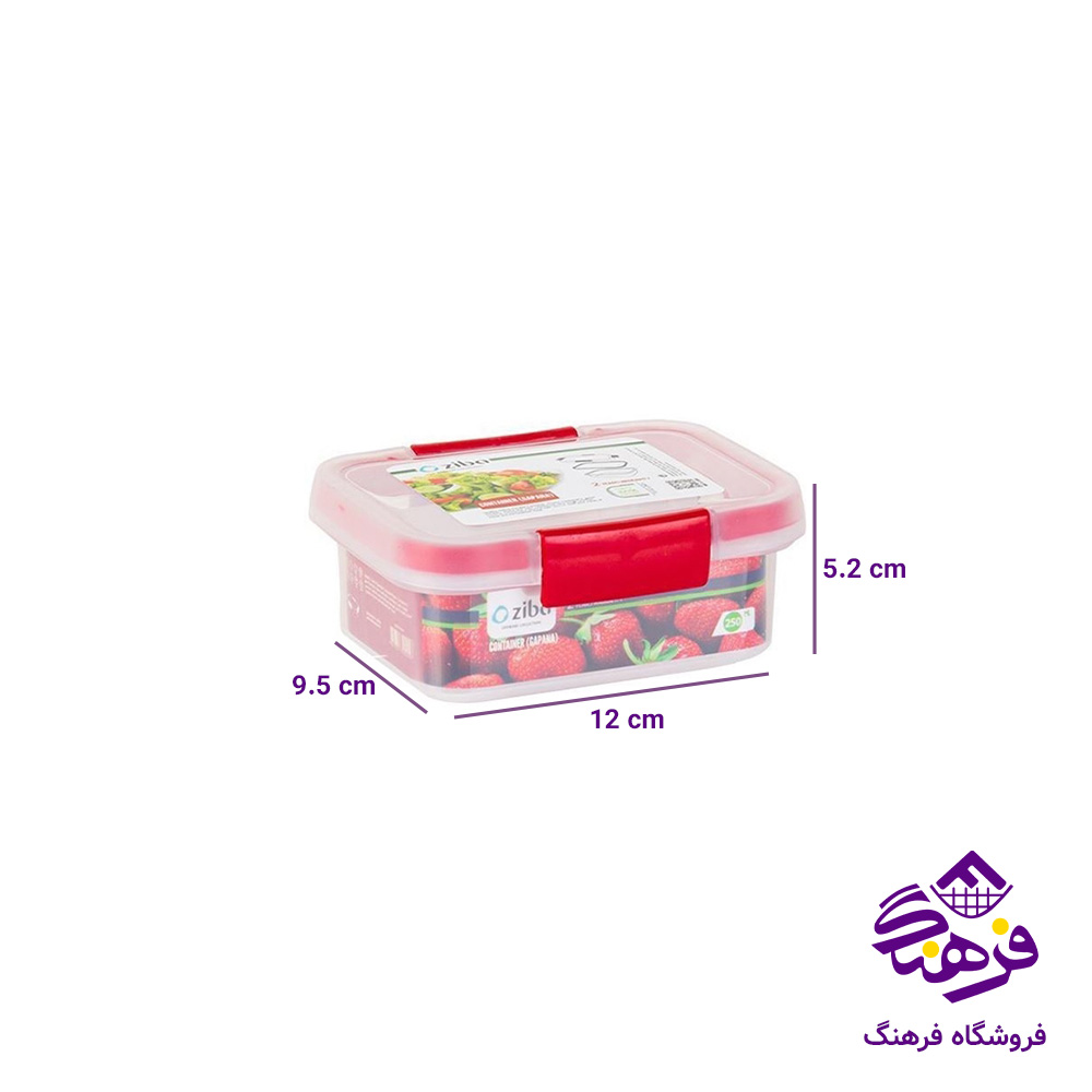ظرف نگهدارنده گاپانا 250 میلی لیتر زیبا