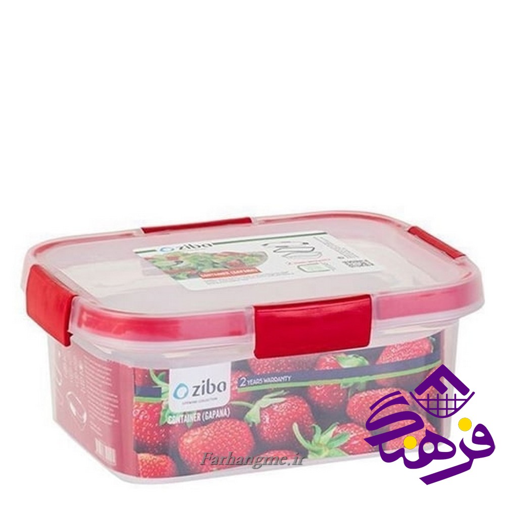 فريزري زيبا مربع 1ليتر باراکا