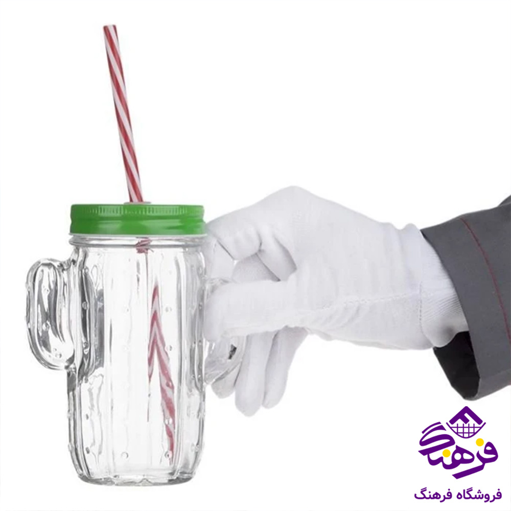 لیوان زیبا اسموتی کاکتوس