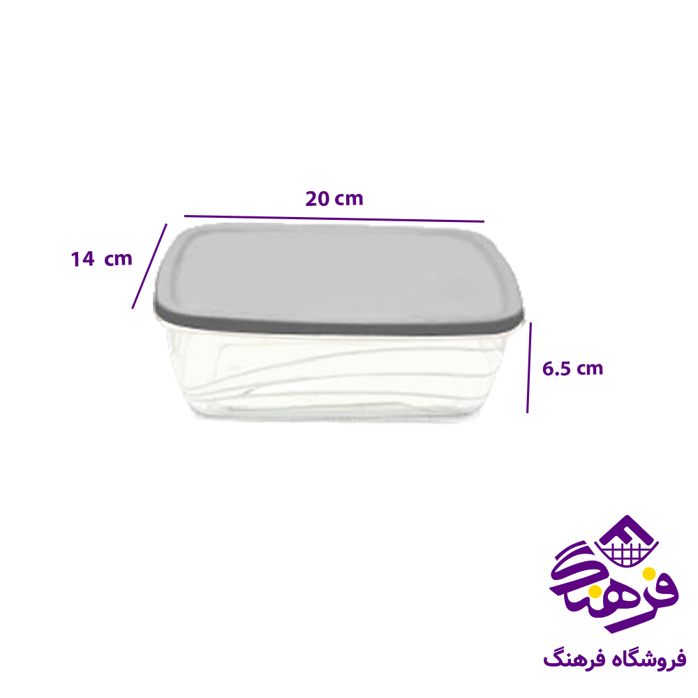 فريزري ليا مستطيل 1/2 لیتر گلد پلاست