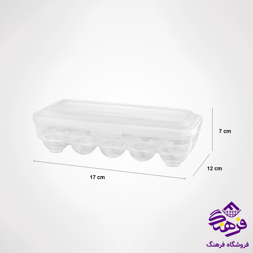 جا تخم مرغ درب دار 10 عددی لیمون