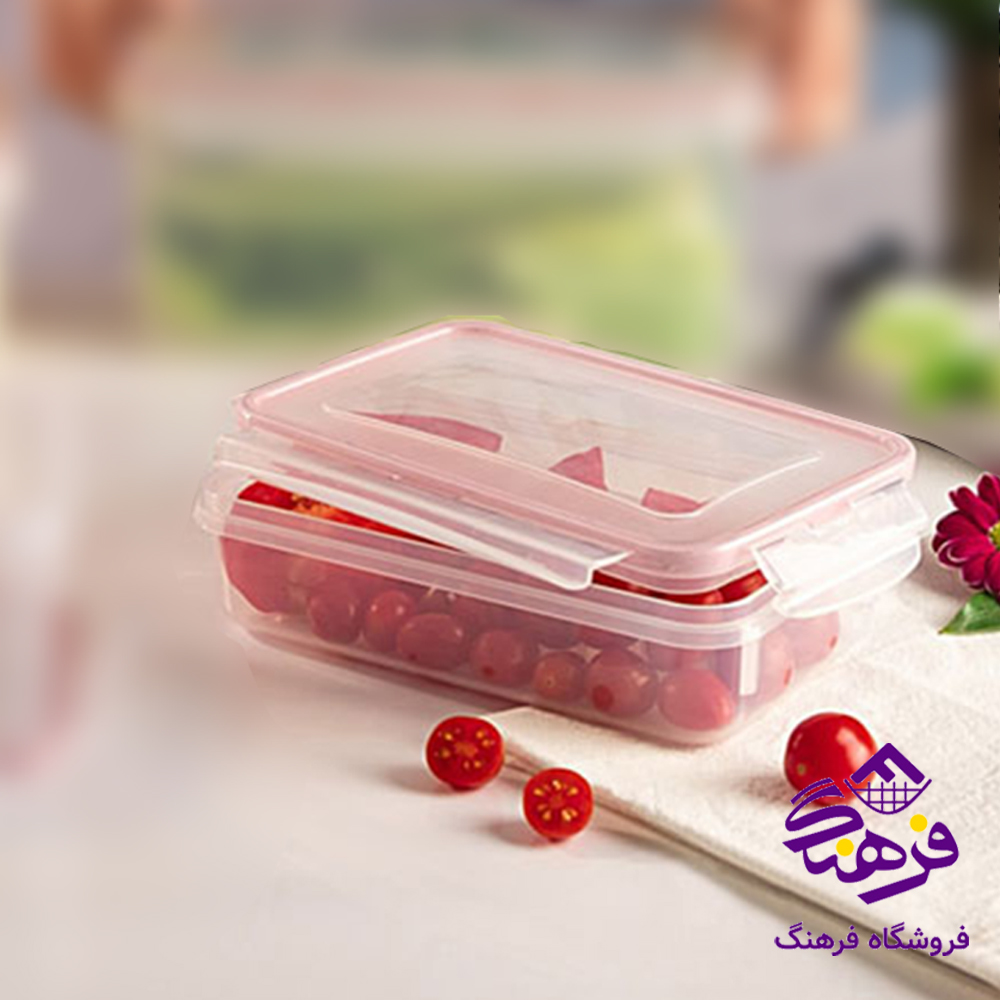 فریزری هوم کت 2700مستطیل