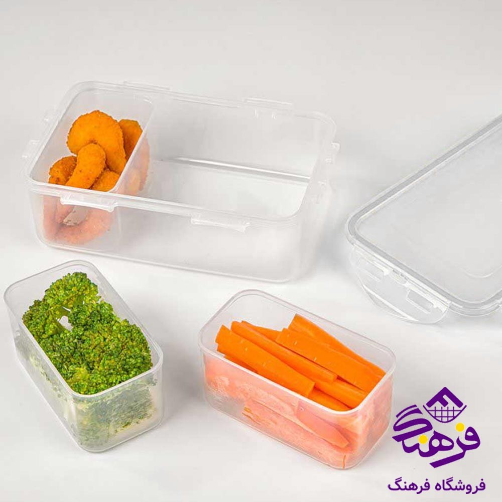 ظرف فریزری مستطیل سه خانه هومکت کد 3485 (2.7 لیتری)