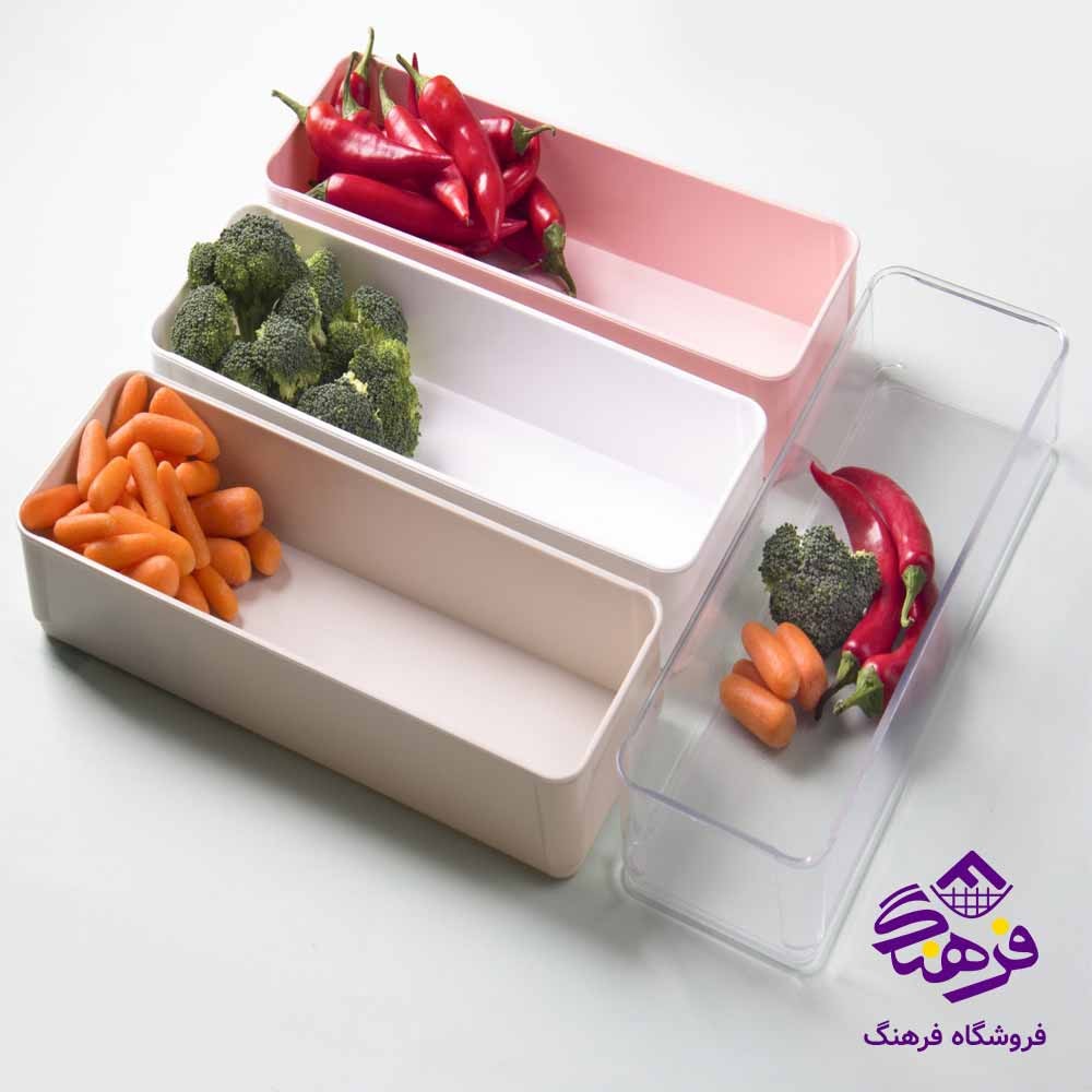 نظم دهنده آرياسام سایز 1 کد 161