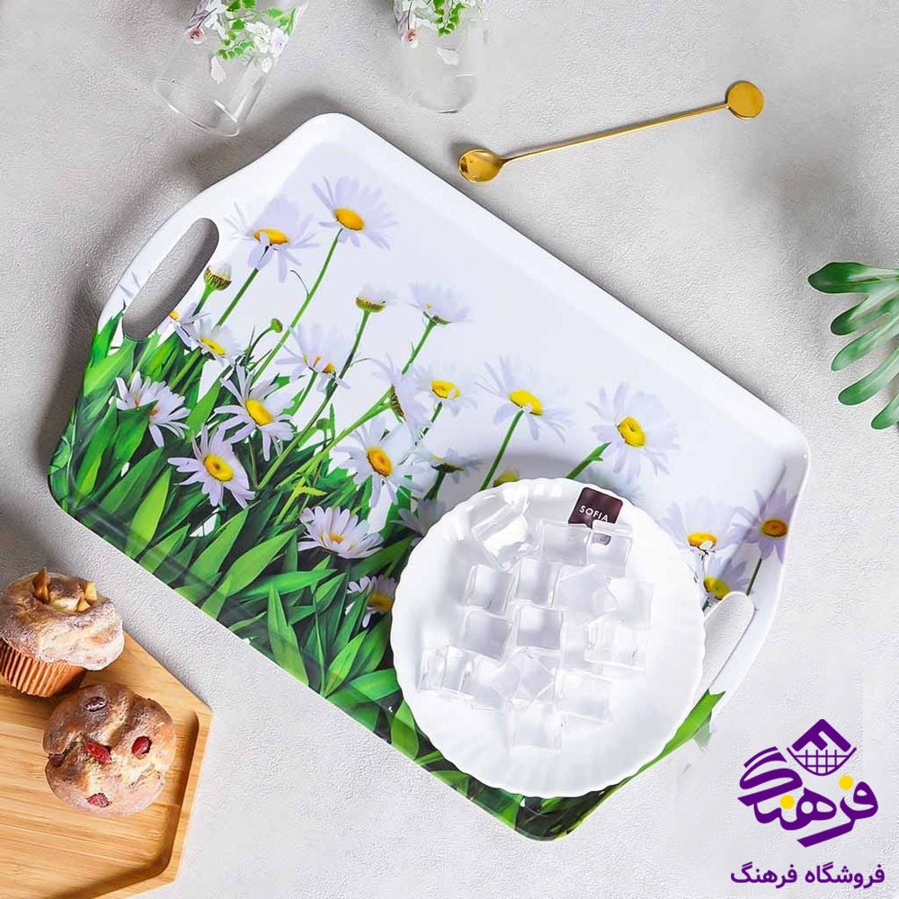 سینی کارن  