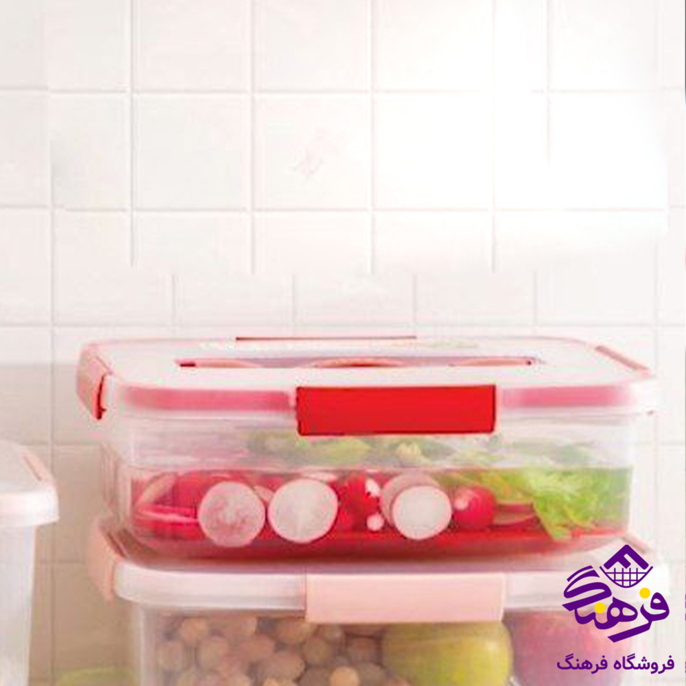 فريزري زيبا مستطيل 3/5 ليتر گاپانا
