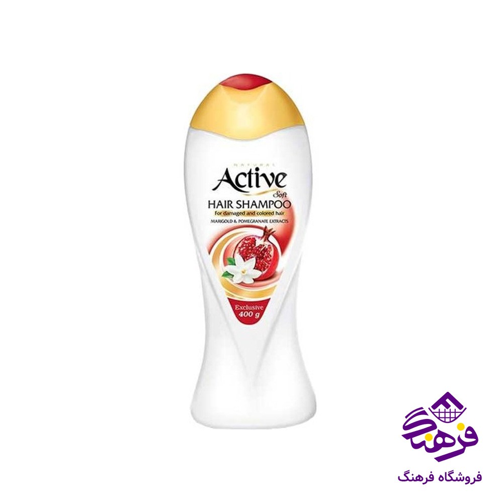 شامپو نچرال اکتیو مناسب موی اسیب دیده و رنگ شده 400gr