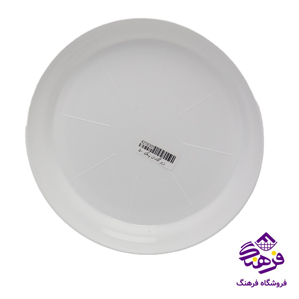 زيرگلدان نيک 50