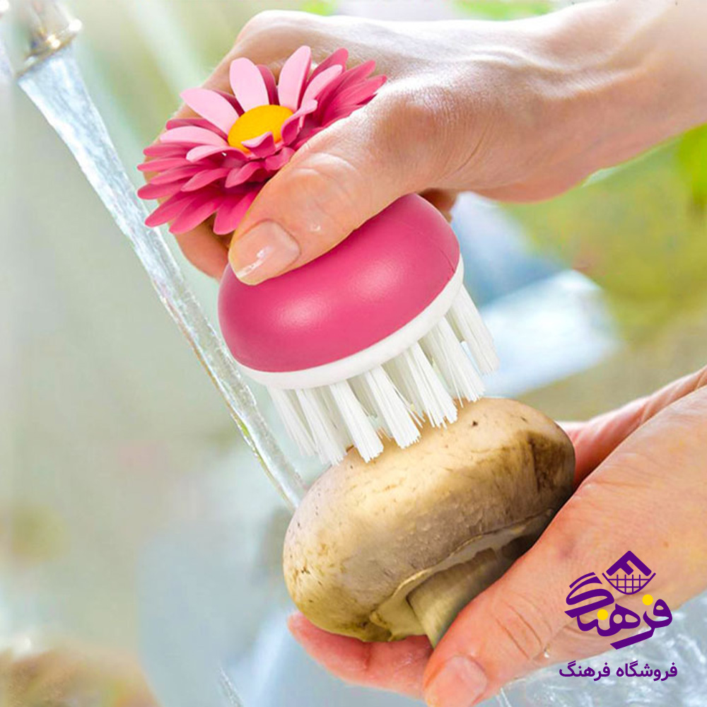 بندرخت ديواري ليمون
