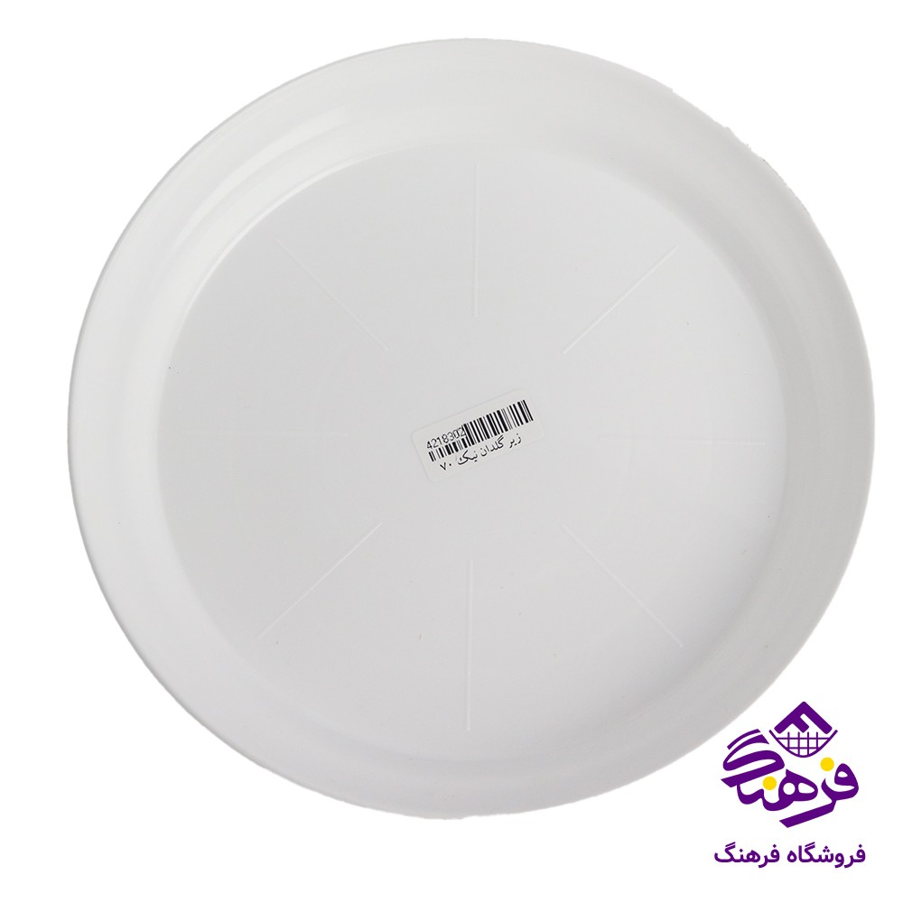 زيرگلدان نيک 50