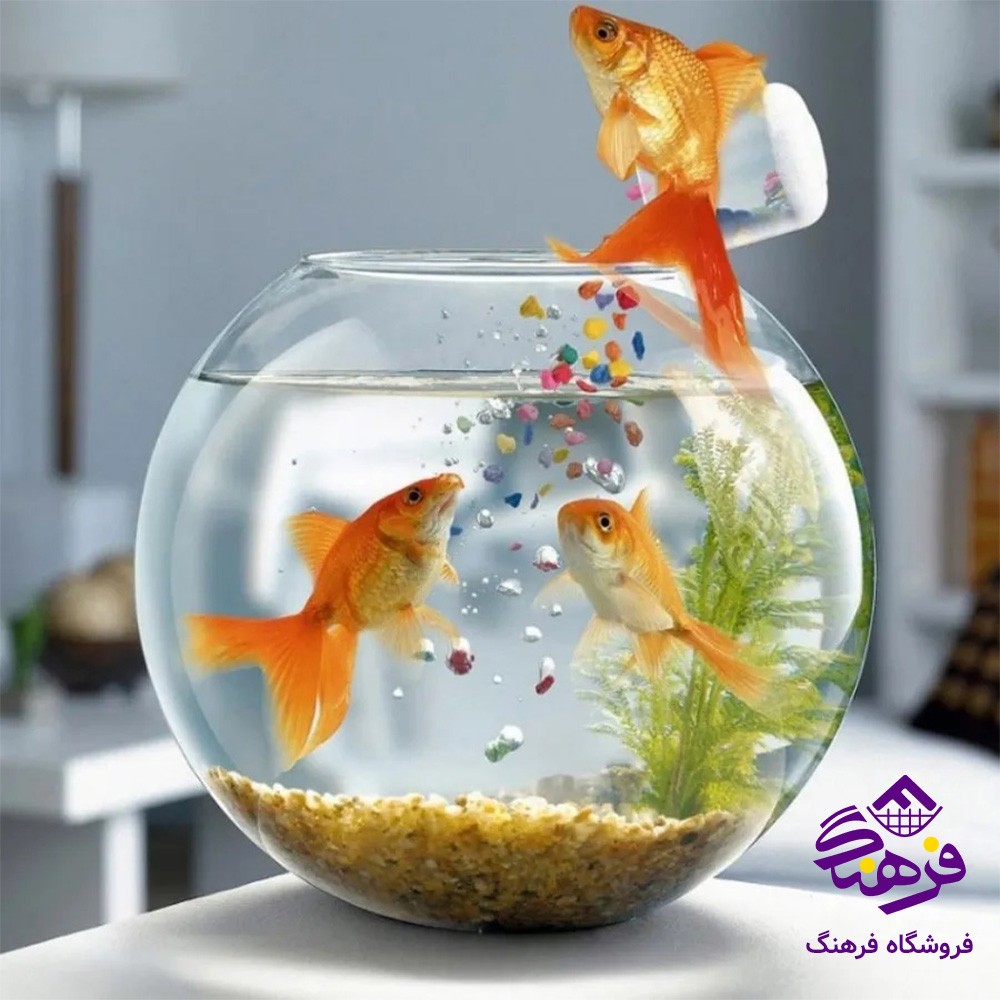 تنگ ميلاد کادو کاوه (24دک)
