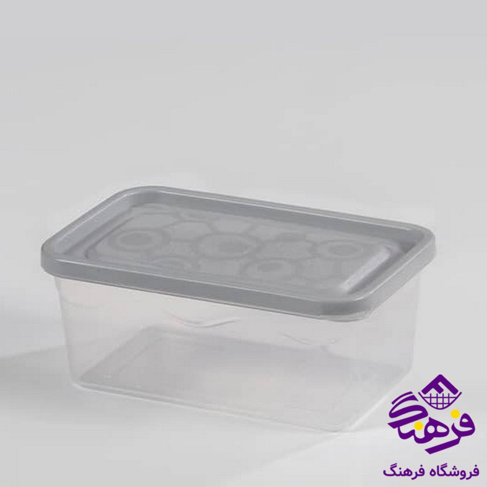 فریزری رونیکا 2لیتر مستطیل