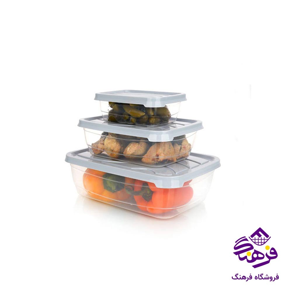 ست ظرف فریزری ایده ال مدل بهسا سایز 3 کد 6074