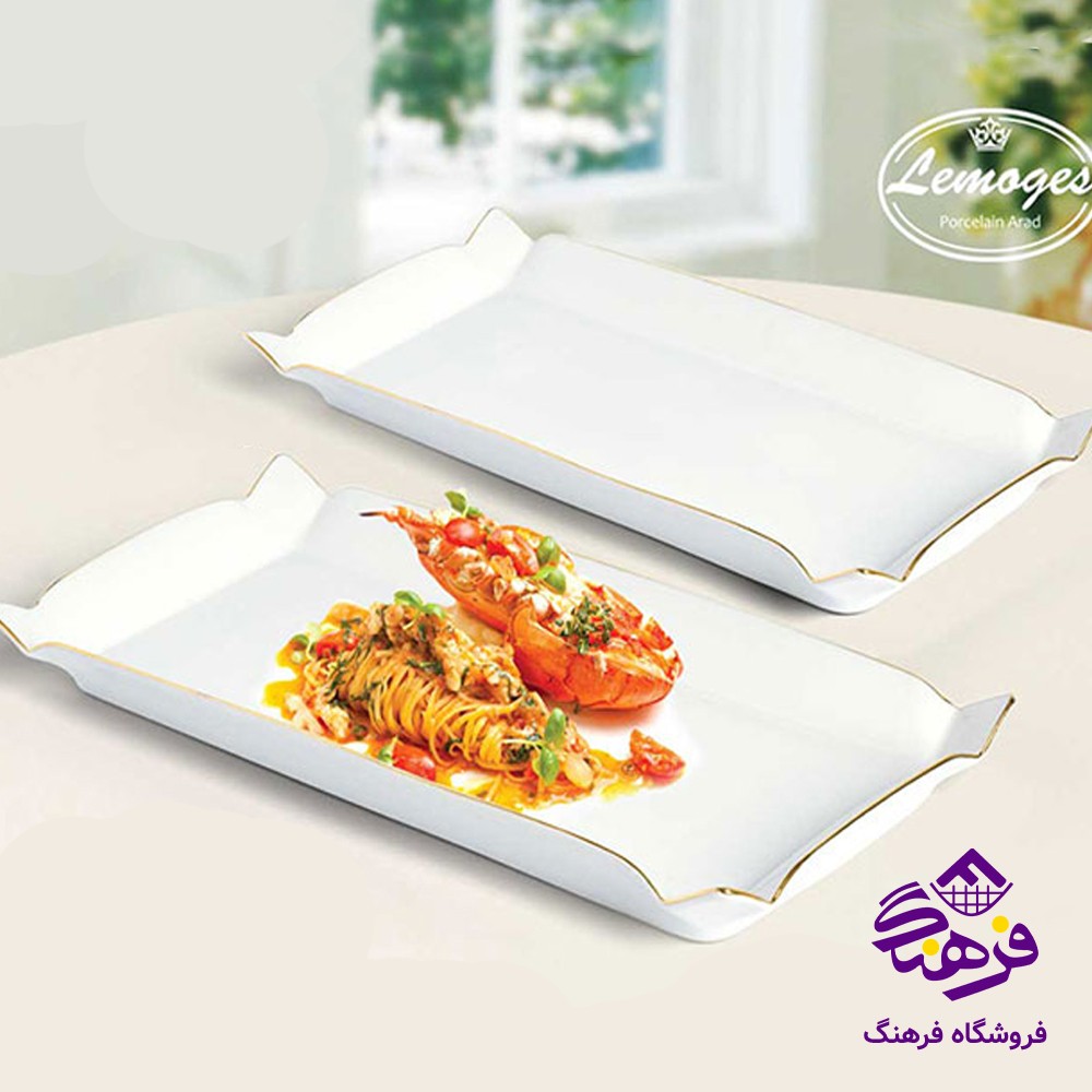 دیس کباب لیموم بزرگ 147L