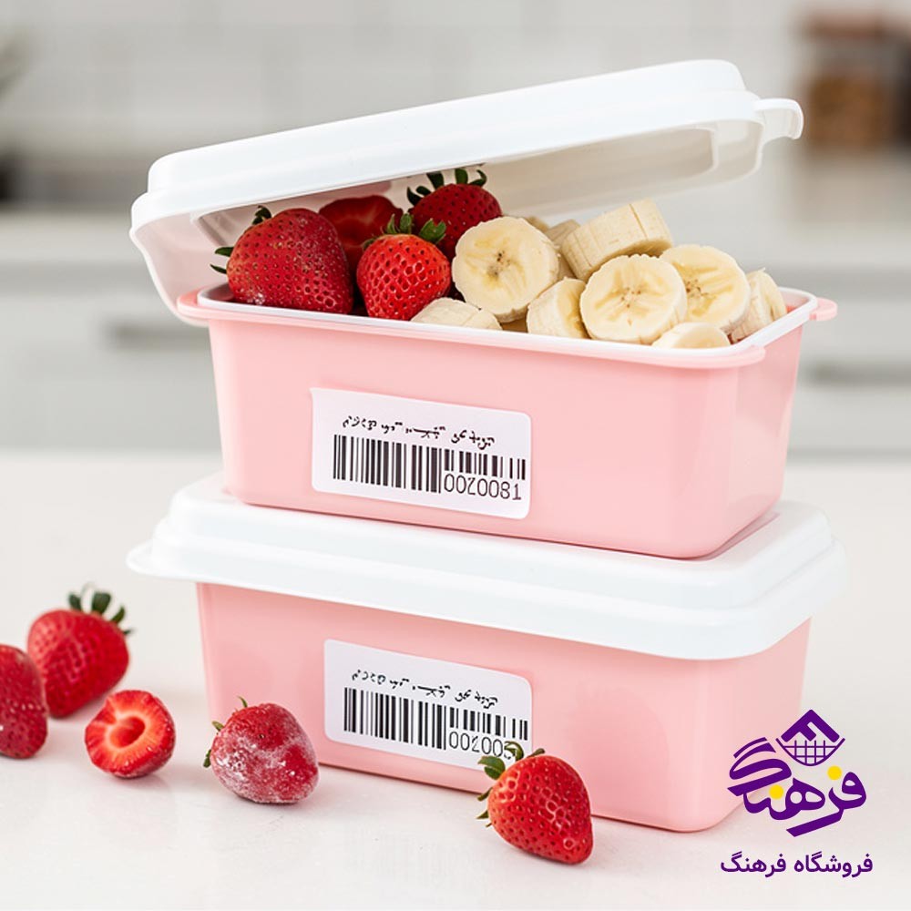 فريزری نقلی مستطيل کوچک جفتی  پارسا