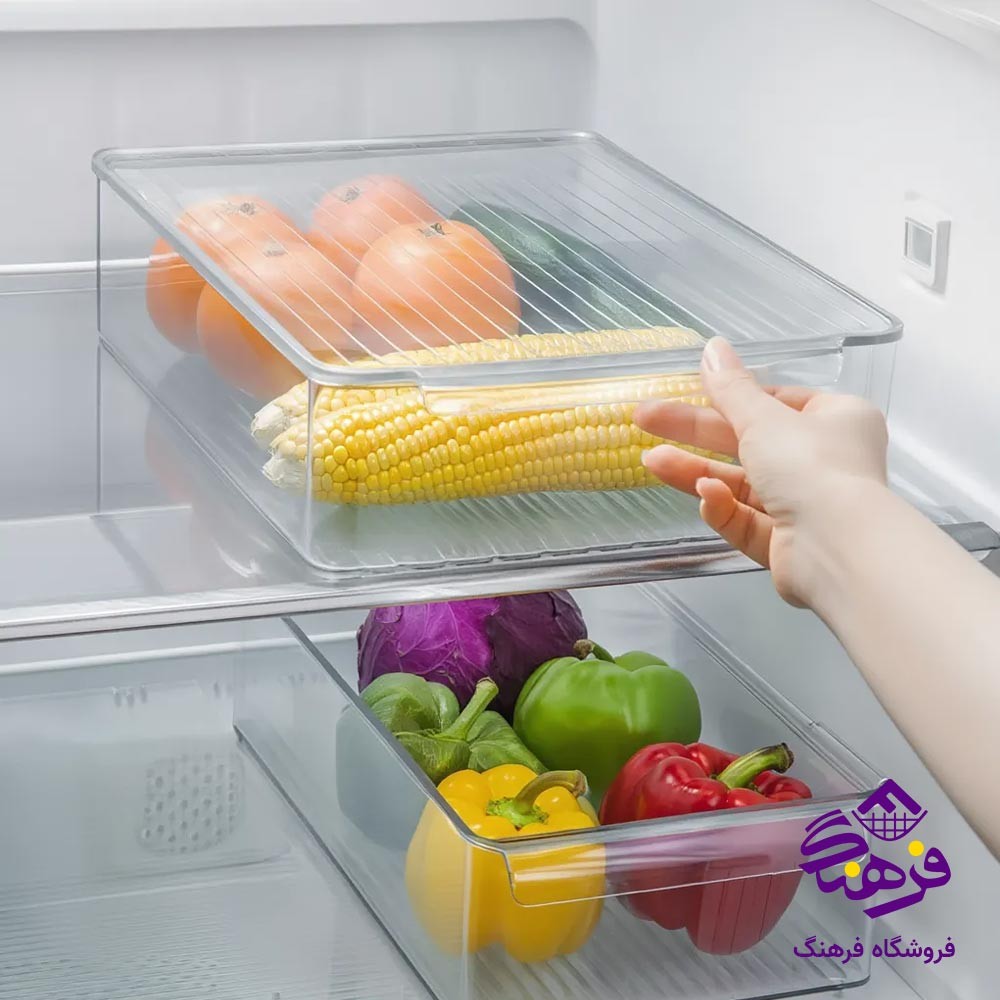  نظم دهنده اکسون مدل رکسانا کد 1270