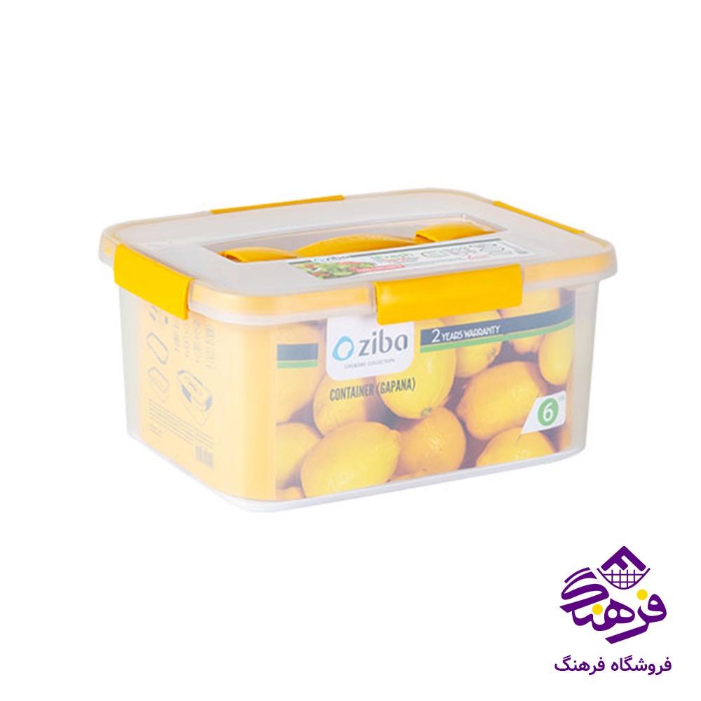 فريزري زيبا مستطيل 6ليتر گاپانا