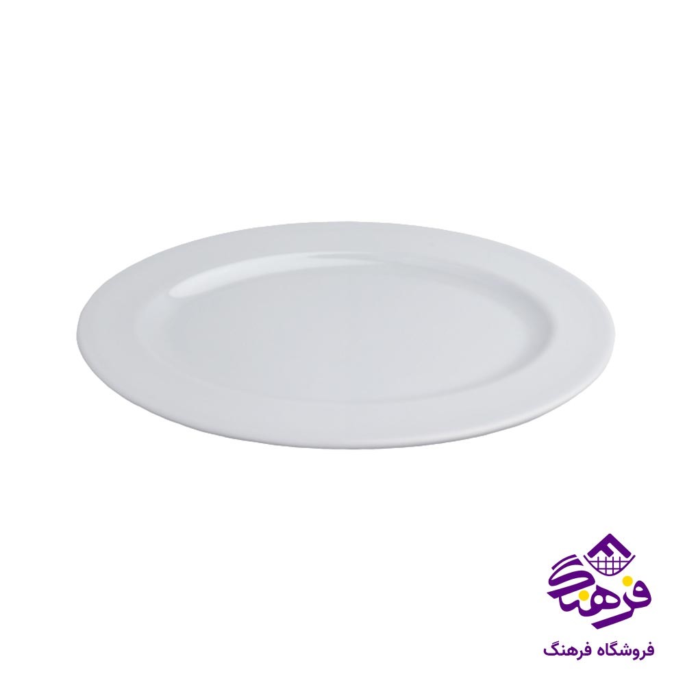 دیس سفید ملامین مشهد 310