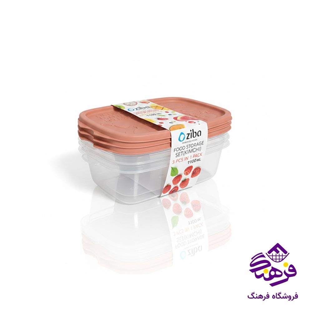 ظرف نگهدارنده لیمون مدل مربع (3 عددی)